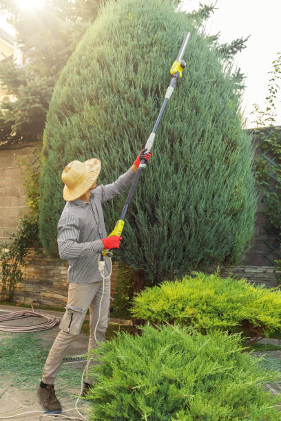 Best Commercial Tree Services  in Fairlawn, VA